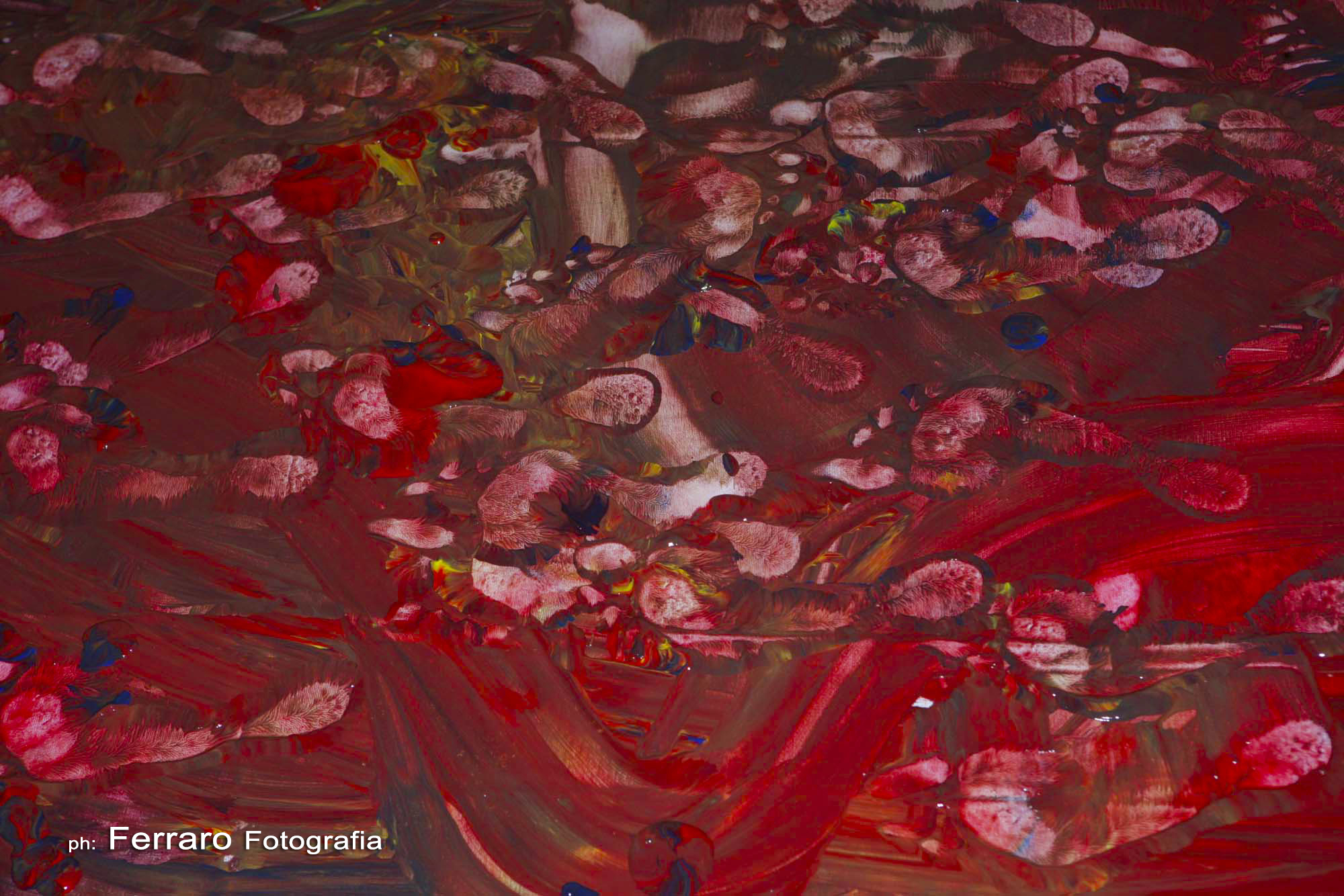 Giovanna D'Amico - Performance Art - Corpo e colore