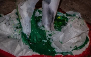 Giovanna D'Amico | In legame